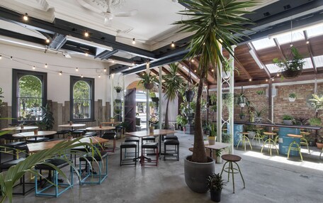 An indoor dining area with tables and chairs, large potted plants, and a high ceiling with exposed beams.