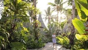 A wooden pathway surrounded by lush tropical vegetation and palm trees. - Nay Palad Hideaway (General Luna)