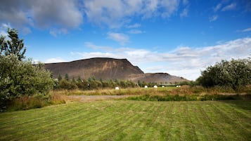 A grassy field with a mountain in the background.