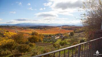 A rural landscape with rolling hills, a winding road, and a distant mountain range.