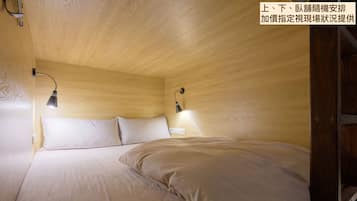 Dortoir Partagé Économique, dortoir mixte, non-fumeur, salle de bains commune (Double Bed)
