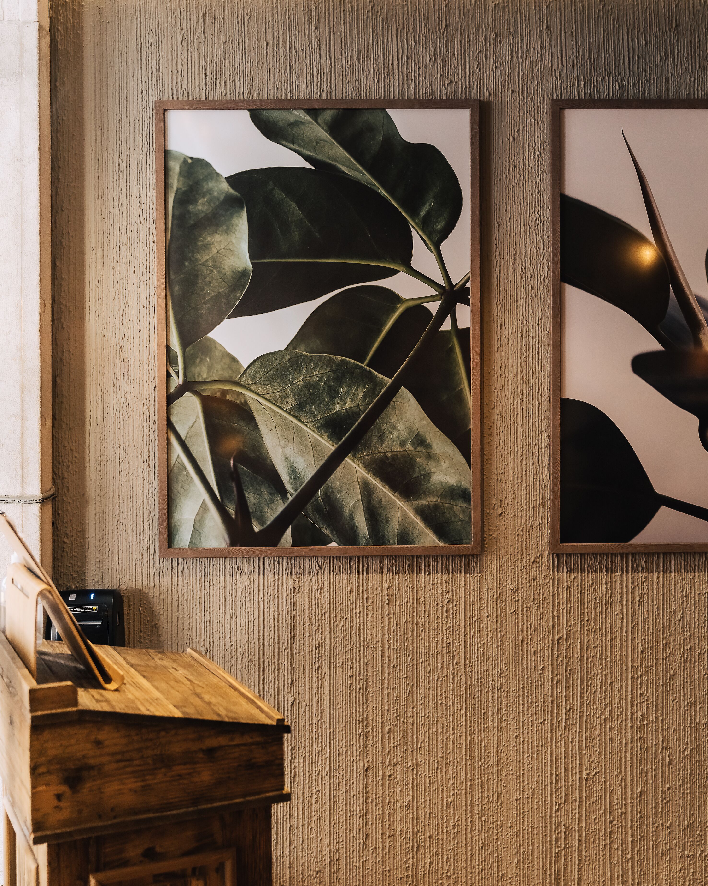 Dos láminas botánicas enmarcadas sobre una pared con textura, un escritorio de madera con una impresora, y una mesita con una lámpara.