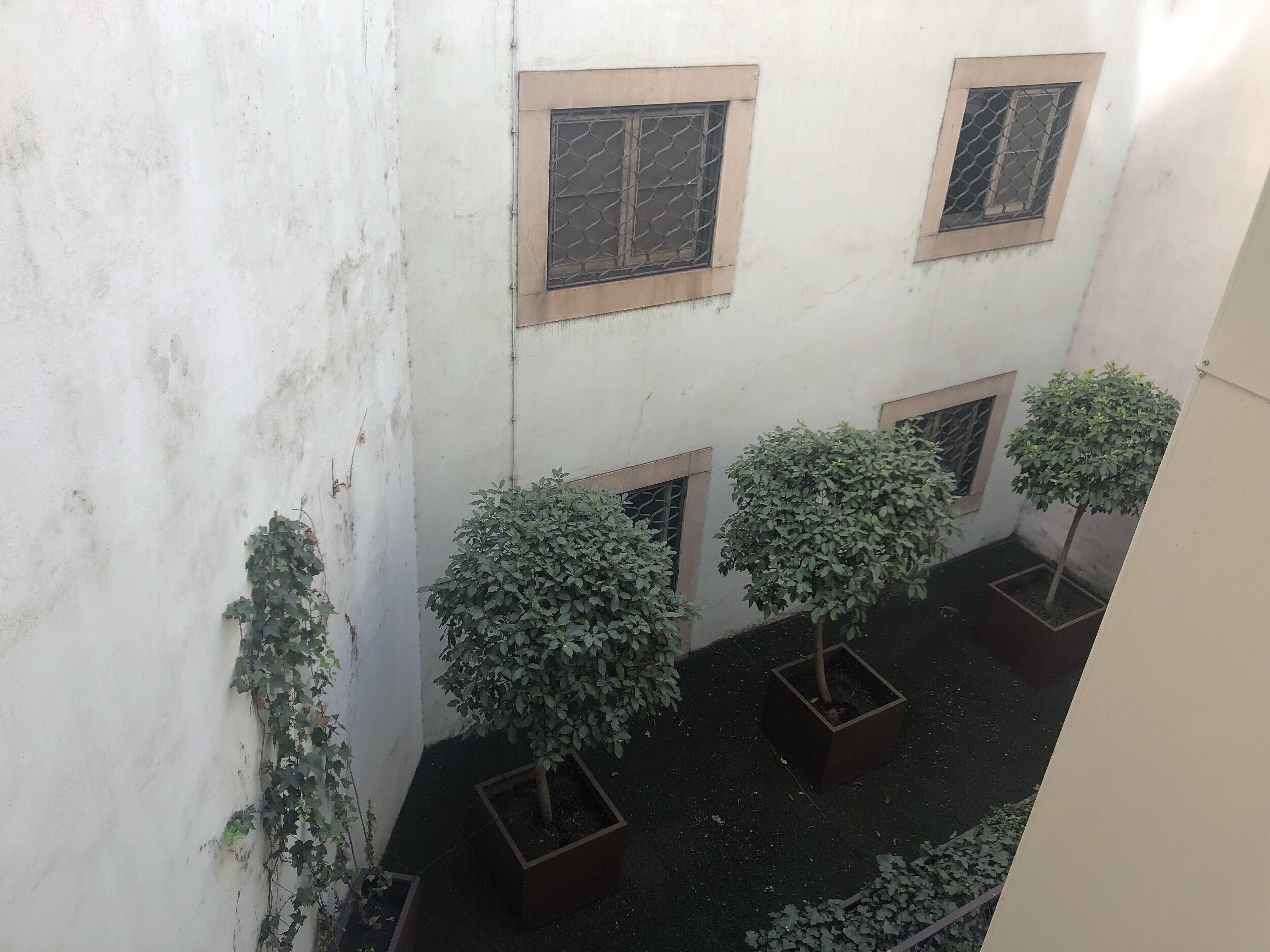 deluxe triple room (interior patio view) | view from room