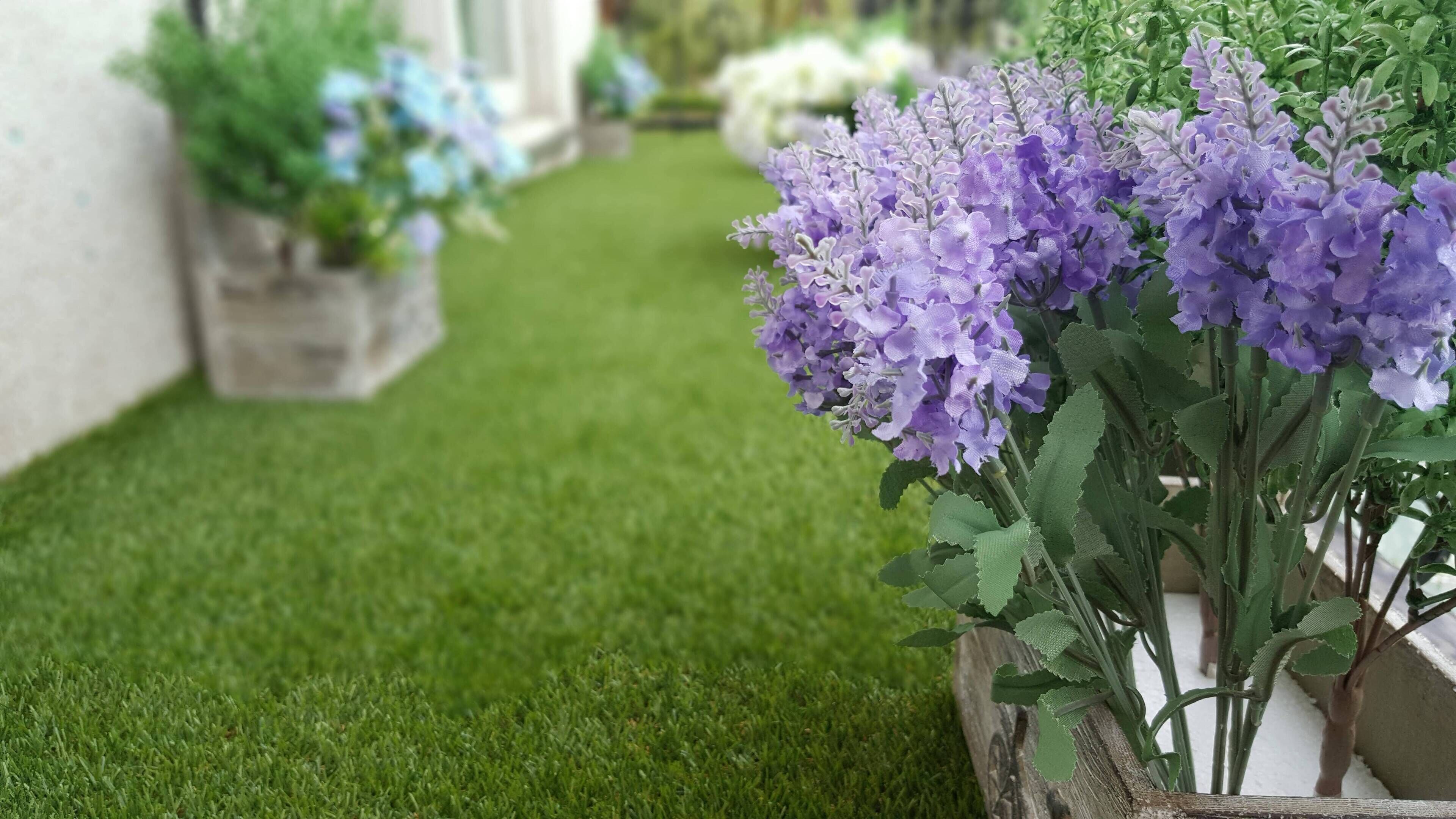 Un sendero en un jardín con césped artificial y flores moradas en macetas.