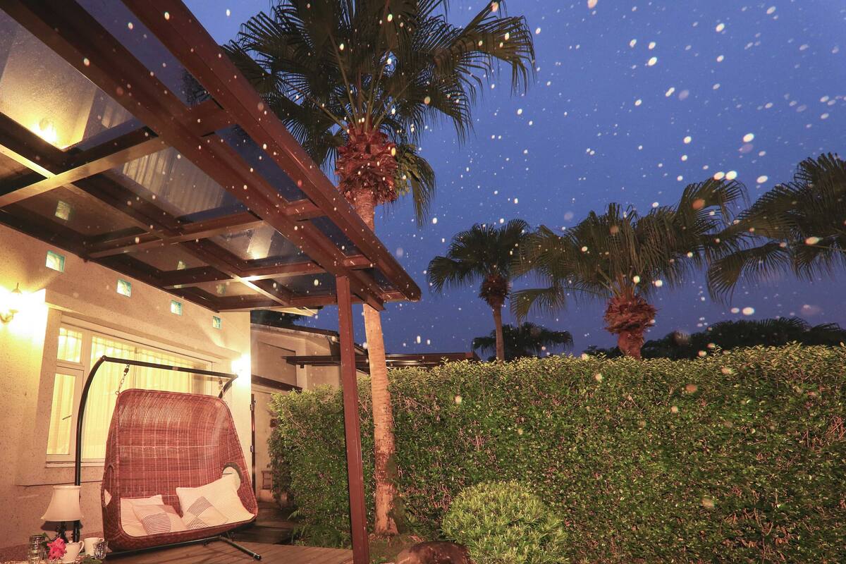 A covered outdoor seating area with a swing chair, palm trees, and a hedge.