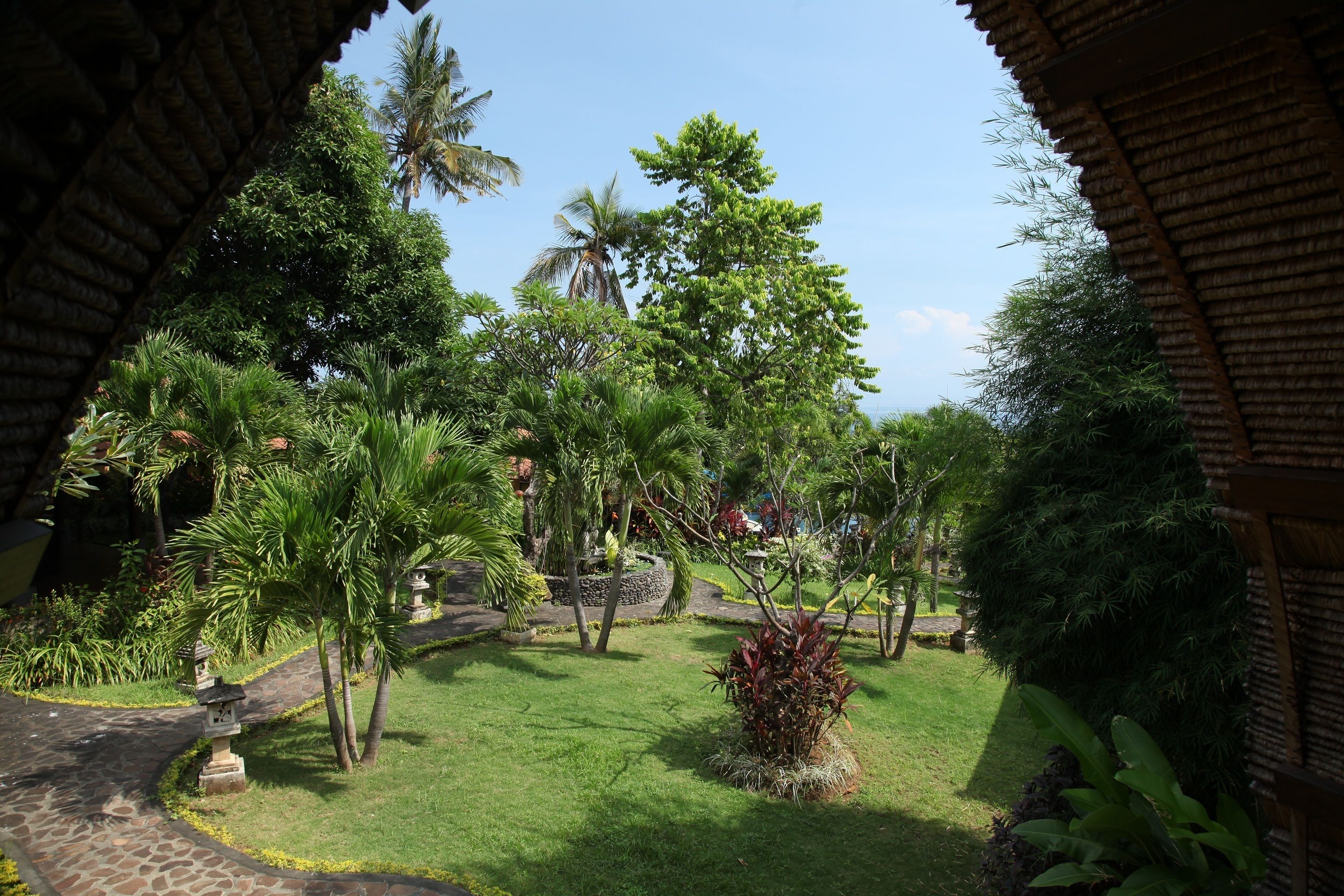 A lush garden with a stone pathway, palm trees, and a variety of greenery.