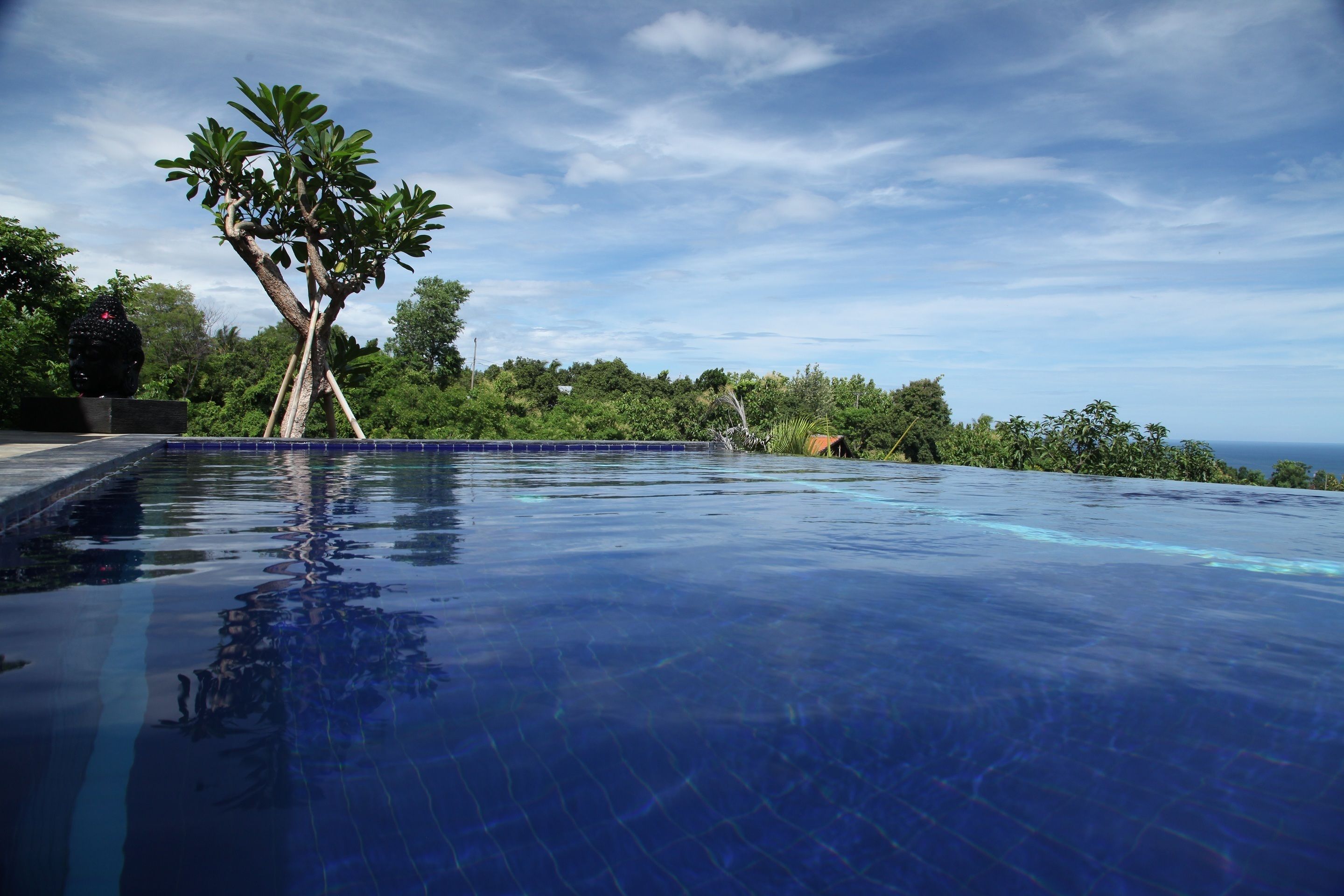 Piscina infinita azul e límpida com uma árvore e vista para o oceano.