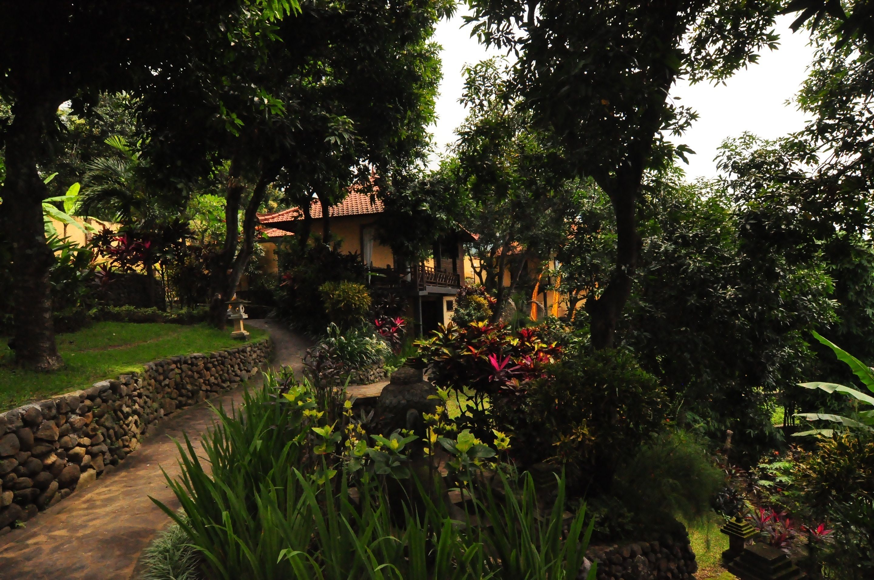 Taman