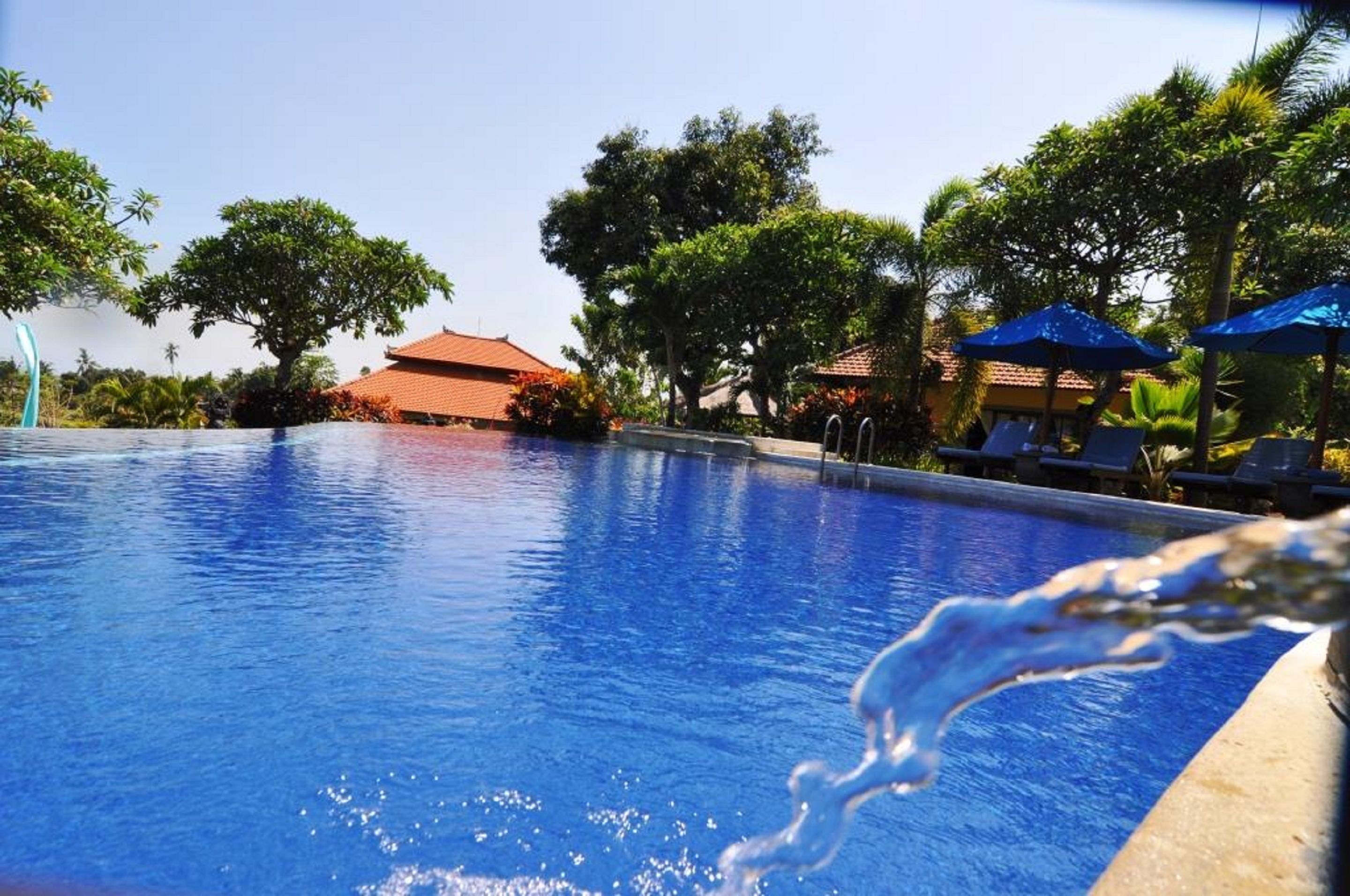 2 outdoor pools, pool loungers