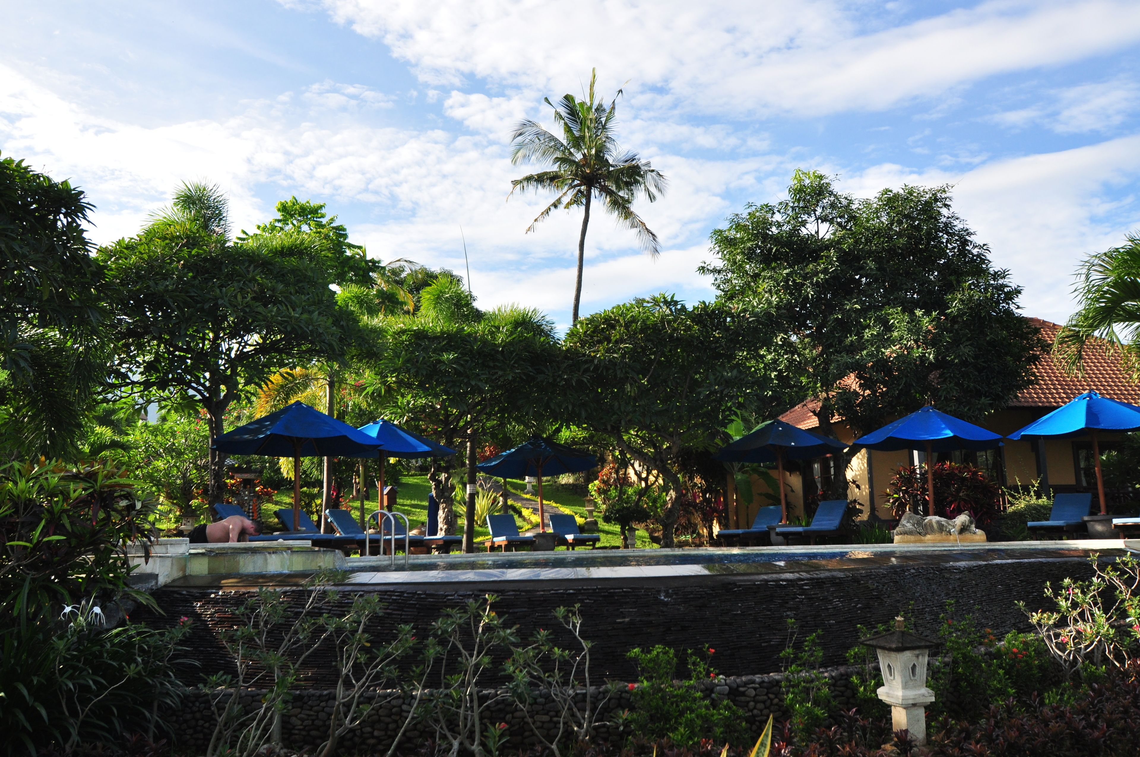 A pool area with lounge chairs and blue umbrellas, surrounded by lush greenery and a palm tree.