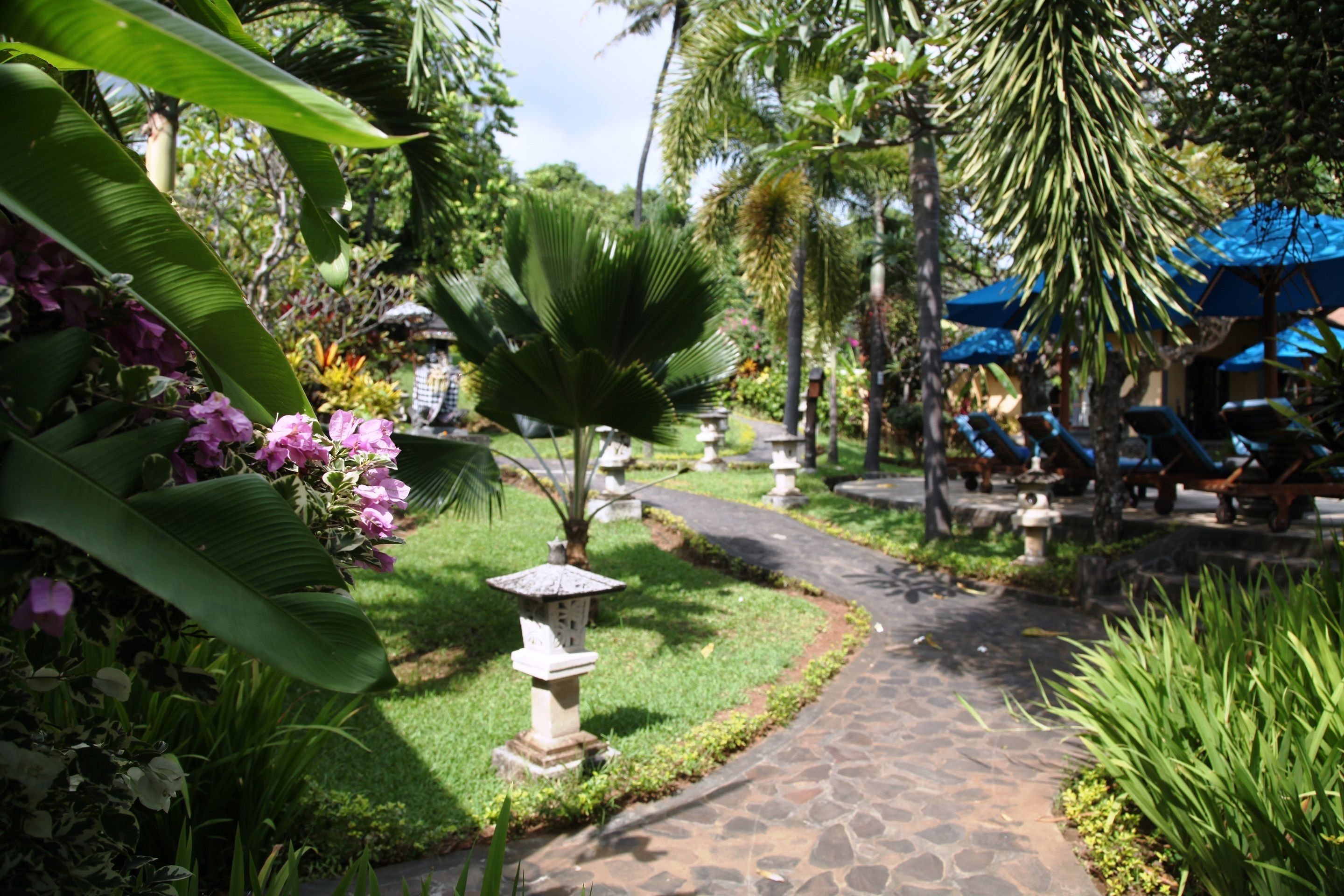 Un sentier de jardin pavé de pierres, bordé d’une végétation luxuriante et de palmiers.