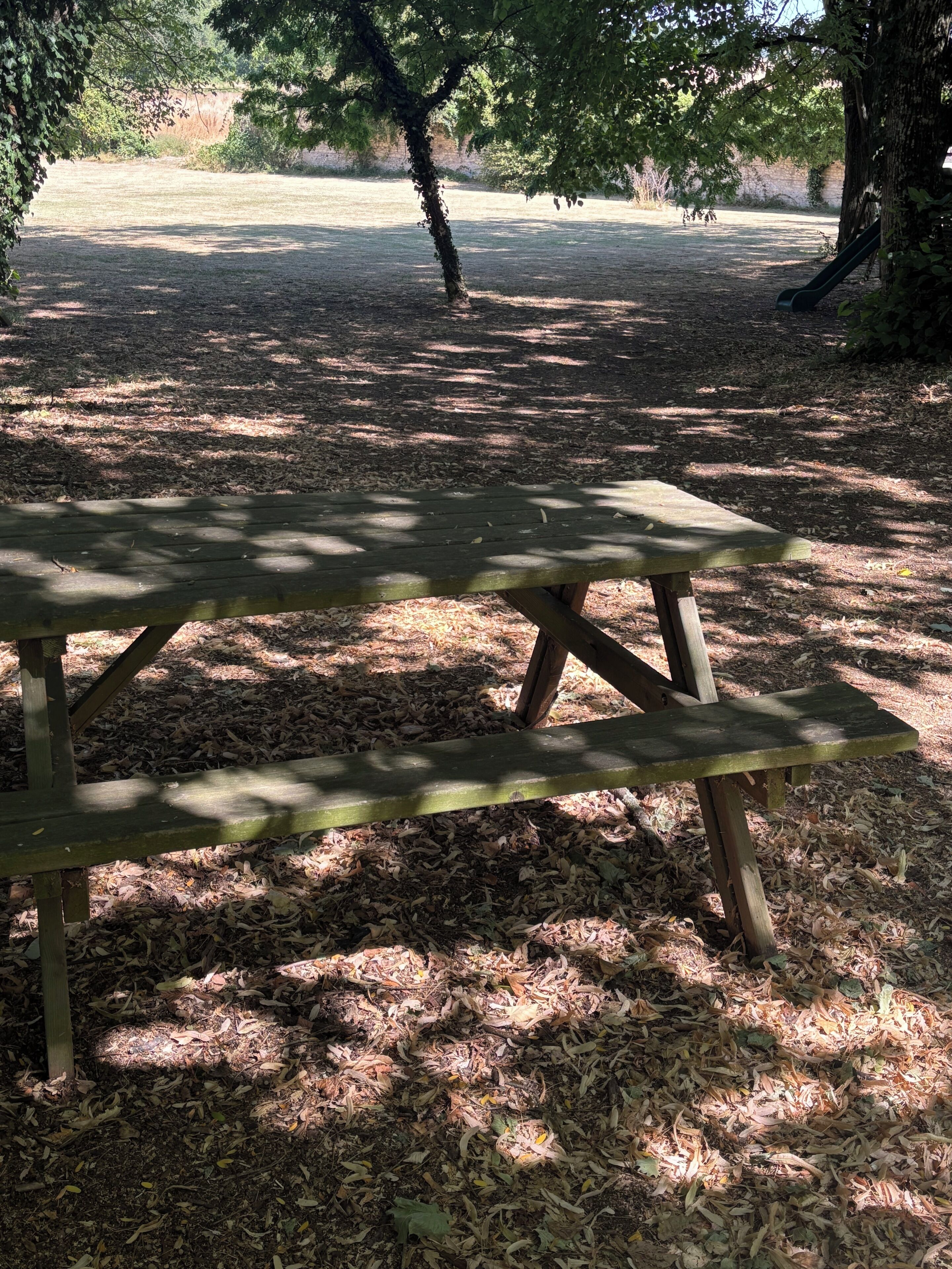 A picnic table in a park with a grassy area and trees in the background.
