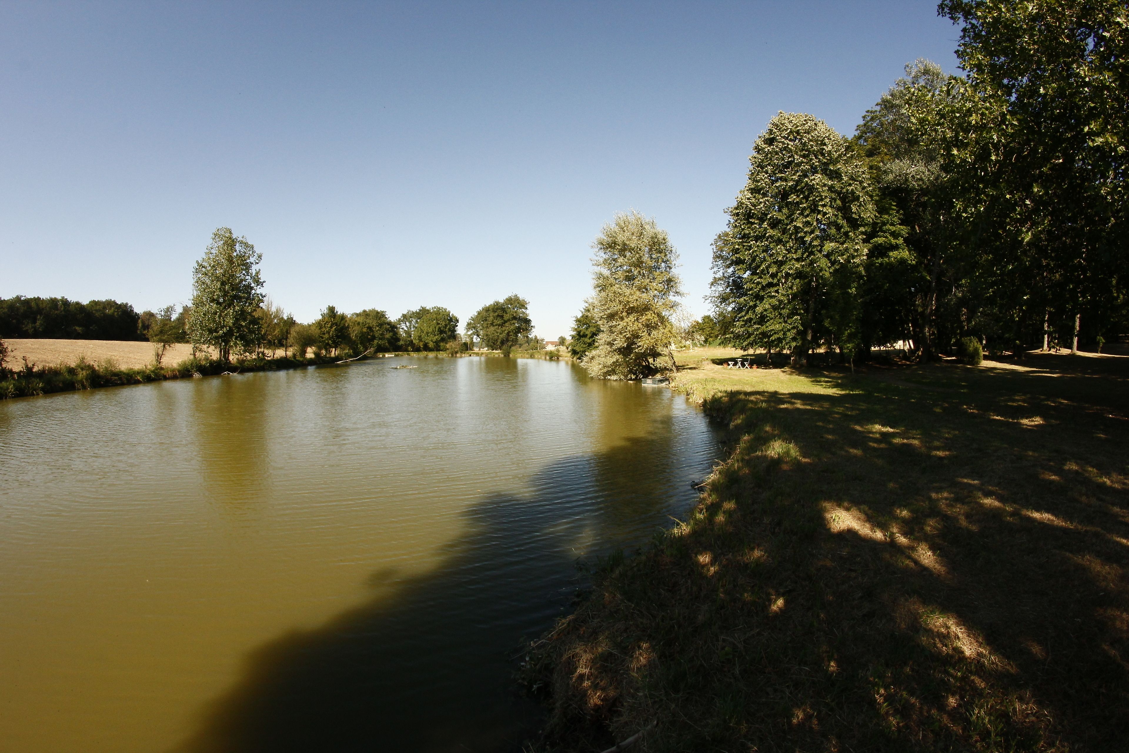 Une rivière paisible, bordée d’arbres des deux côtés, avec une rive herbeuse et un ciel bleu clair.