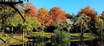 Green Forest Villa