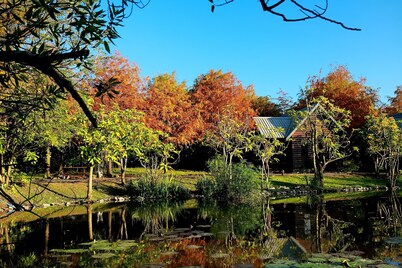 Green Forest Villa