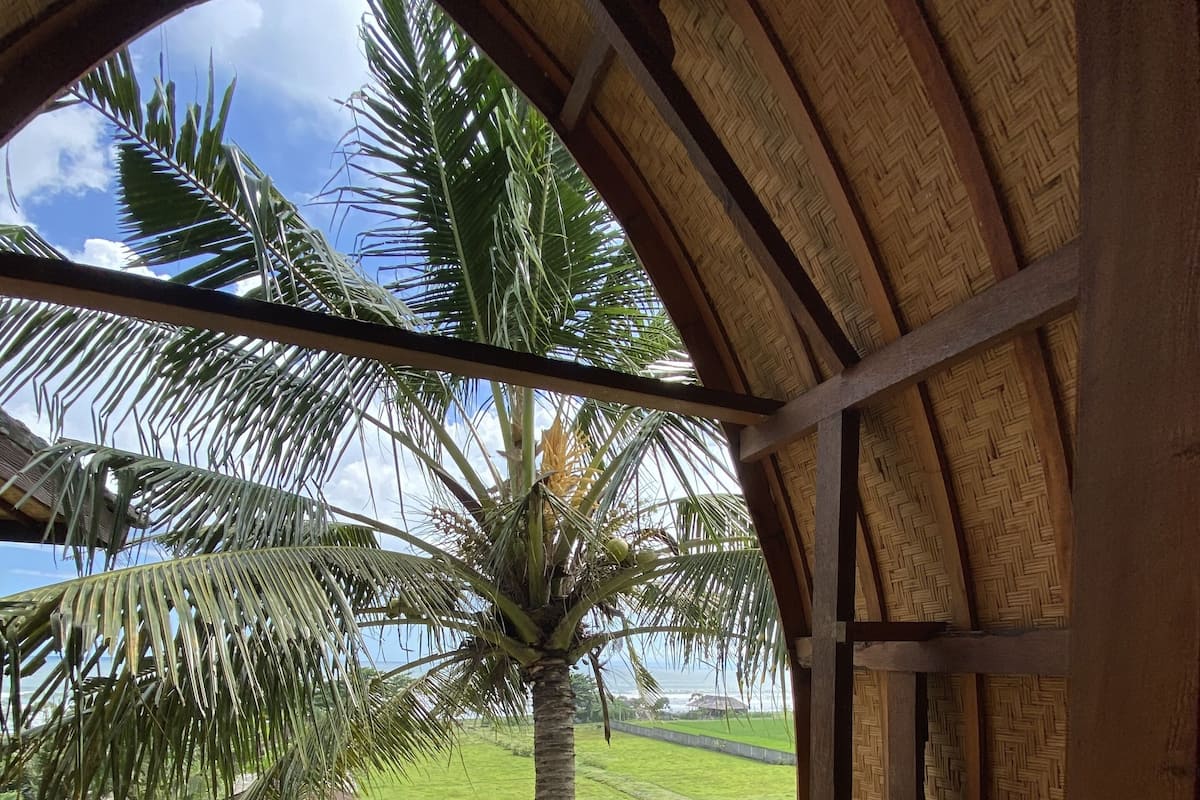 Un balcón de madera con vistas a una palmera y un campo verde.