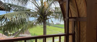 Dikaloha Medewi Surfcamp