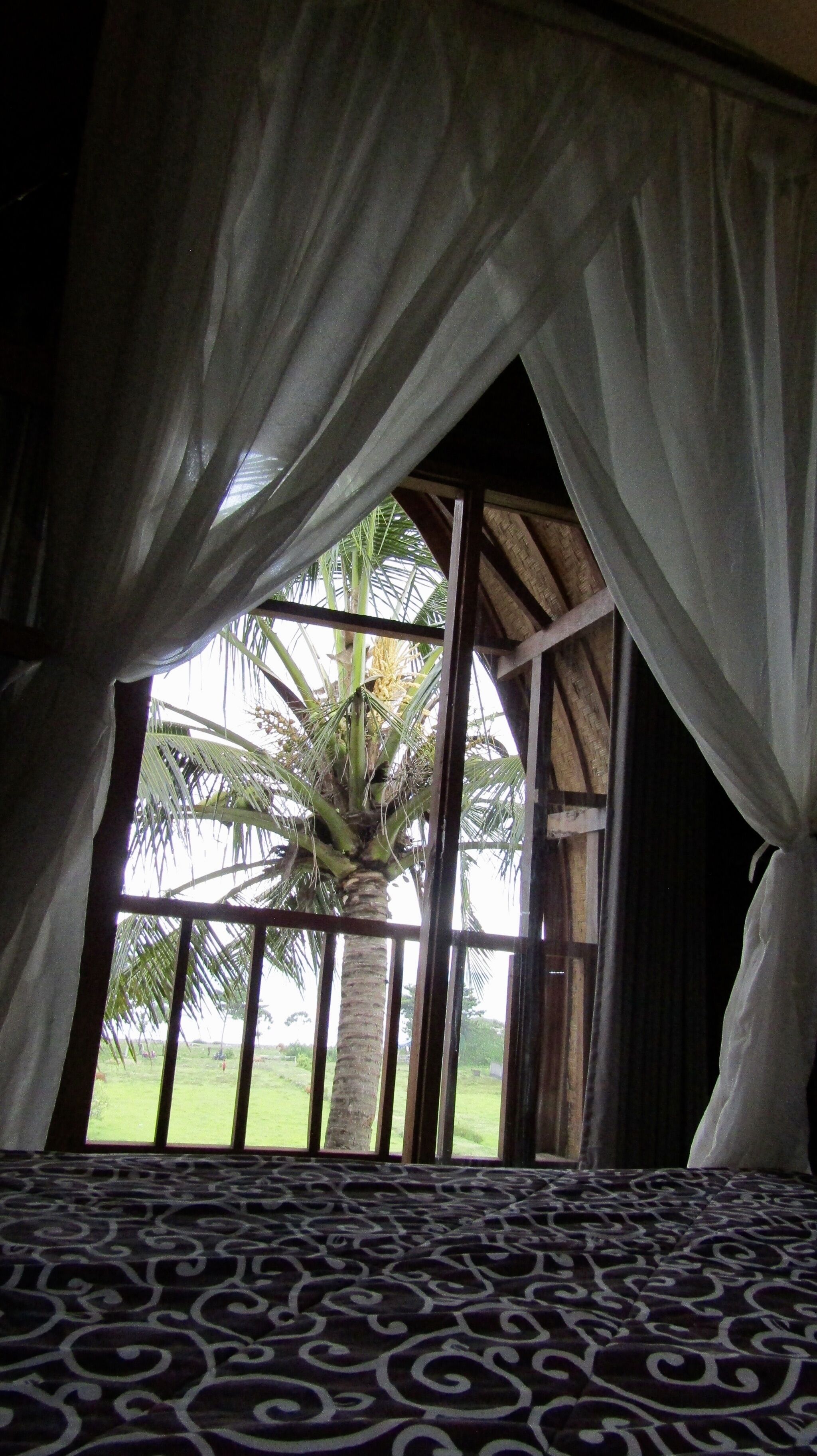 Traditional Single Room, 1 Double Bed, Ocean View | Individually decorated, individually furnished, bed sheets