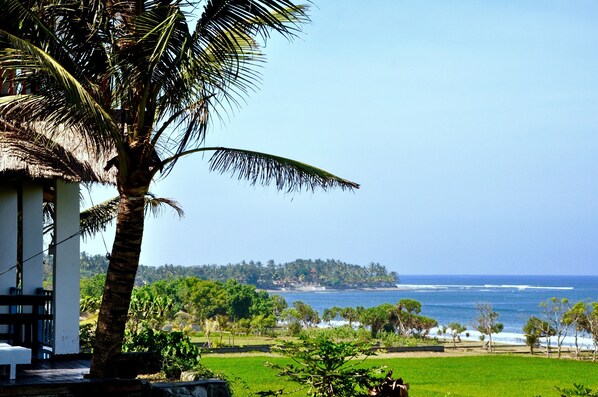A coastal view with a palm tree, a thatched-roof structure, and a distant island with a beach.