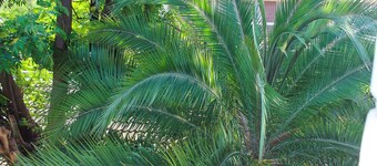 Lolos Cosy One Bedroom Apartment