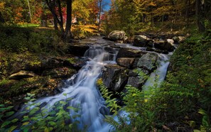 A waterfall in a forested area with rocks and foliage.