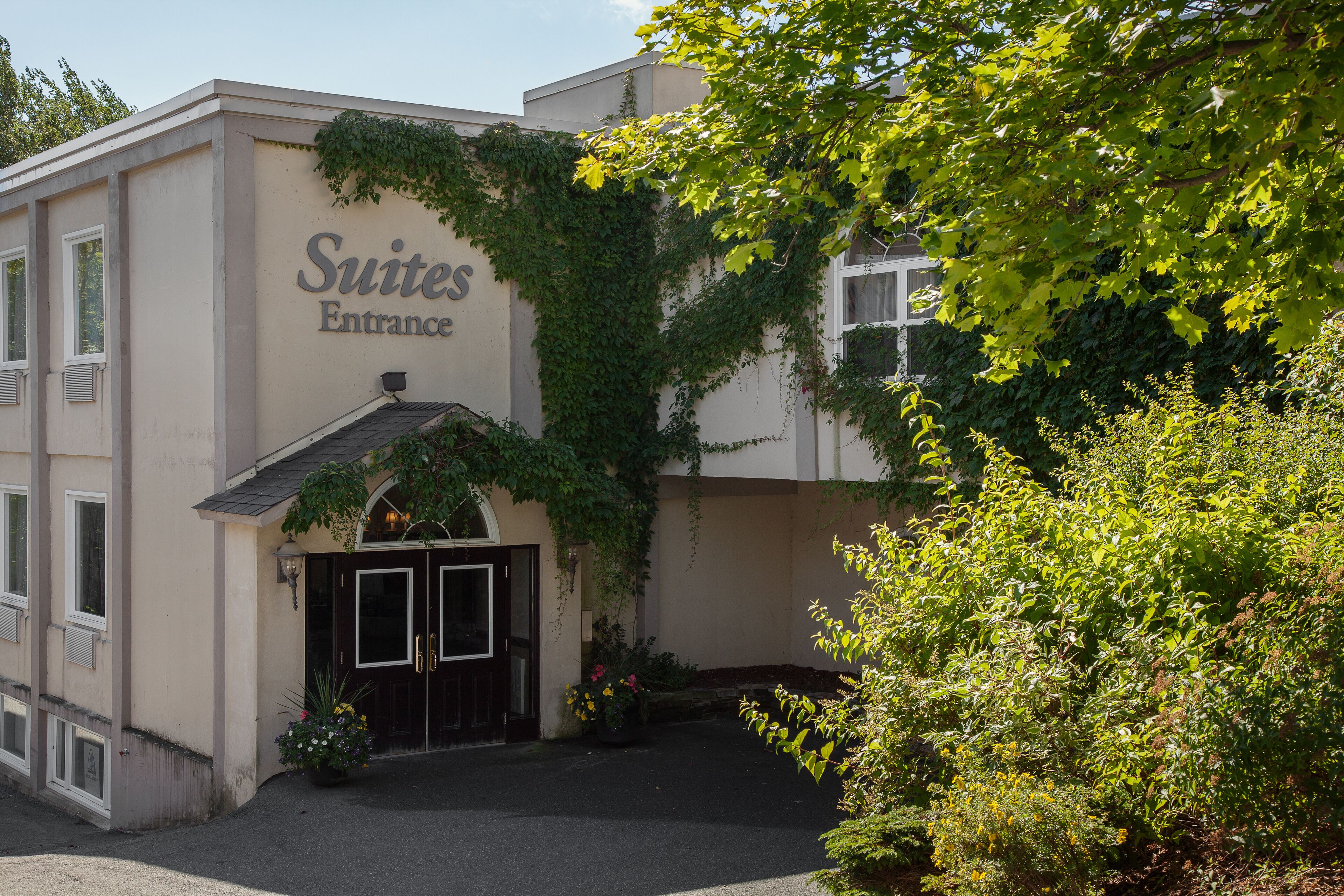 A building labeled "Suites Entrance" with a dark entrance door, a small overhang, and a potted plant with flowers.