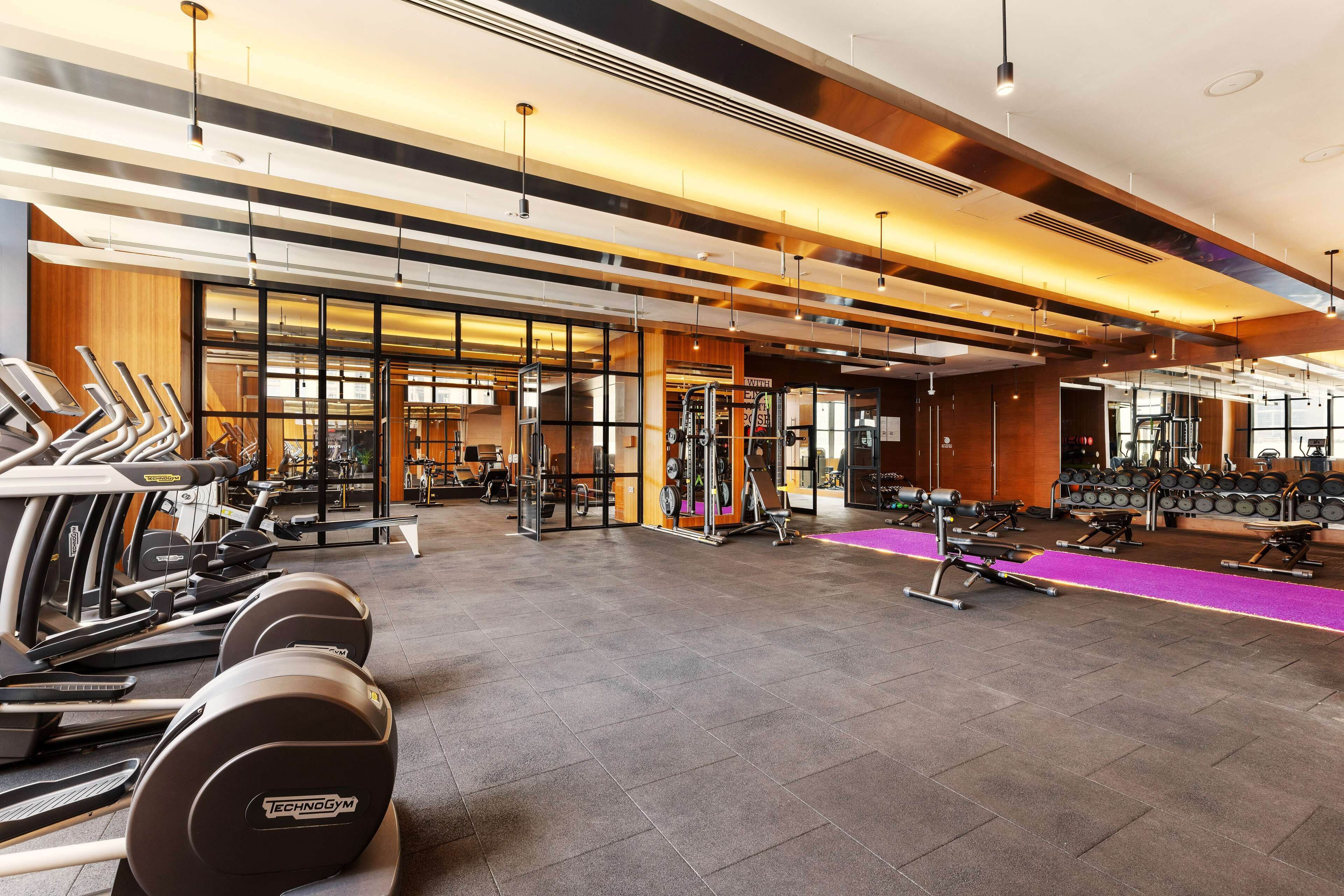 A modern gym with treadmills, weight machines, and free weights.
