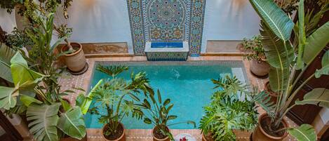 Indoor pool, sun loungers