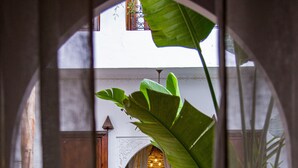 An interior view through an arched doorway with a large plant in the foreground, a wooden chair with a cushion, and a wicker chair in the background. - Riad Clefs D'orient (Marrakech)