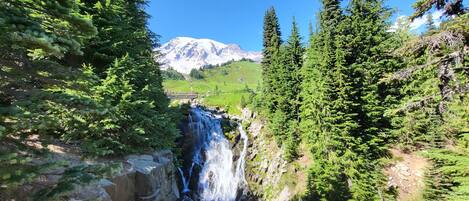 Una cascada rodeada de un bosque frondoso y una montaña al fondo.