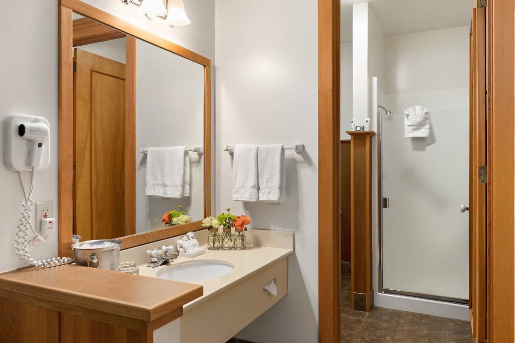 hair dryer, towels, soap, shampoo