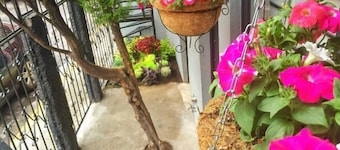 2 Bedrooms Terrace Downtown