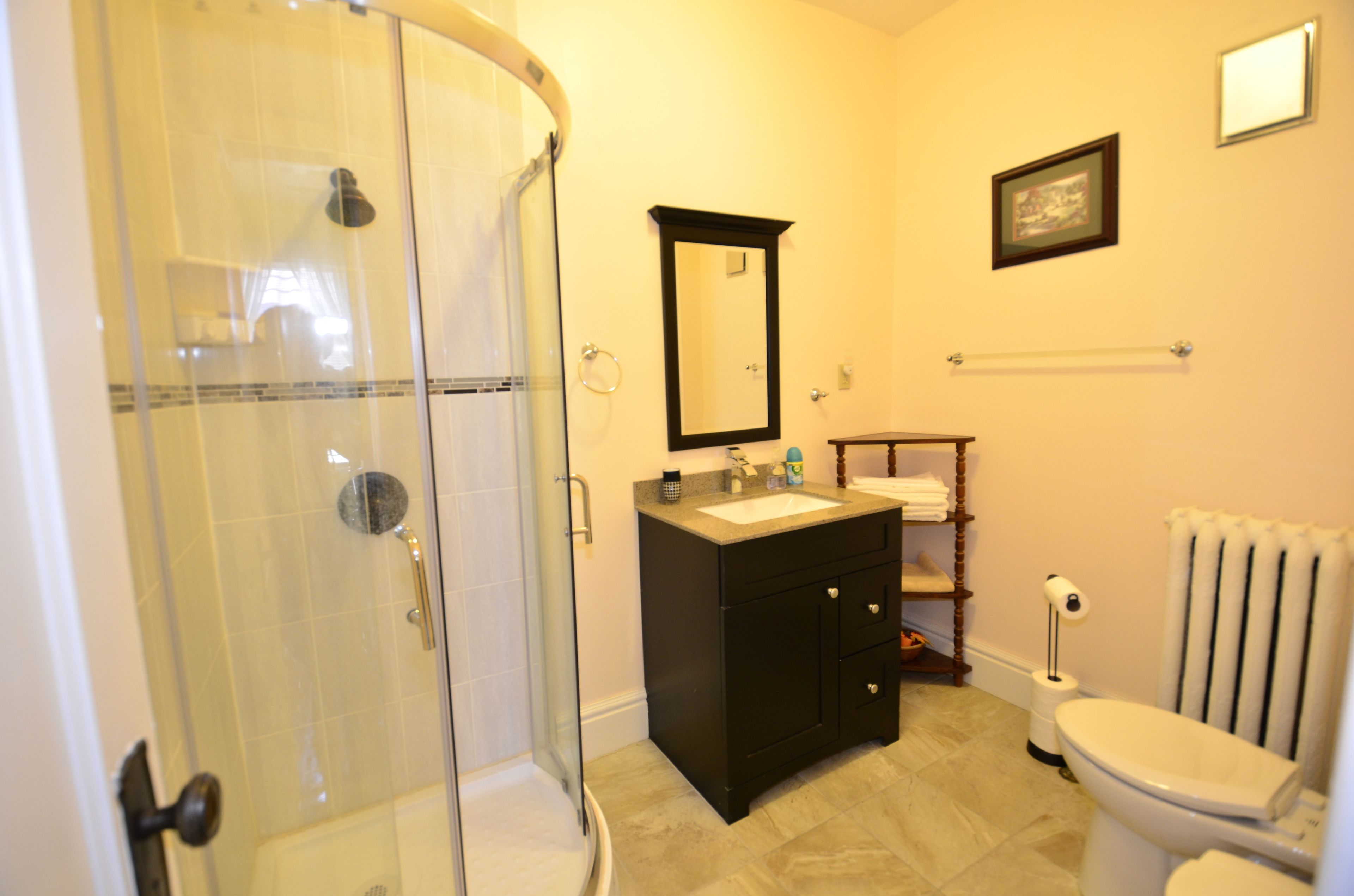 A bathroom with a glass shower enclosure, a sink with a mirror above it, and a toilet with a radiator.