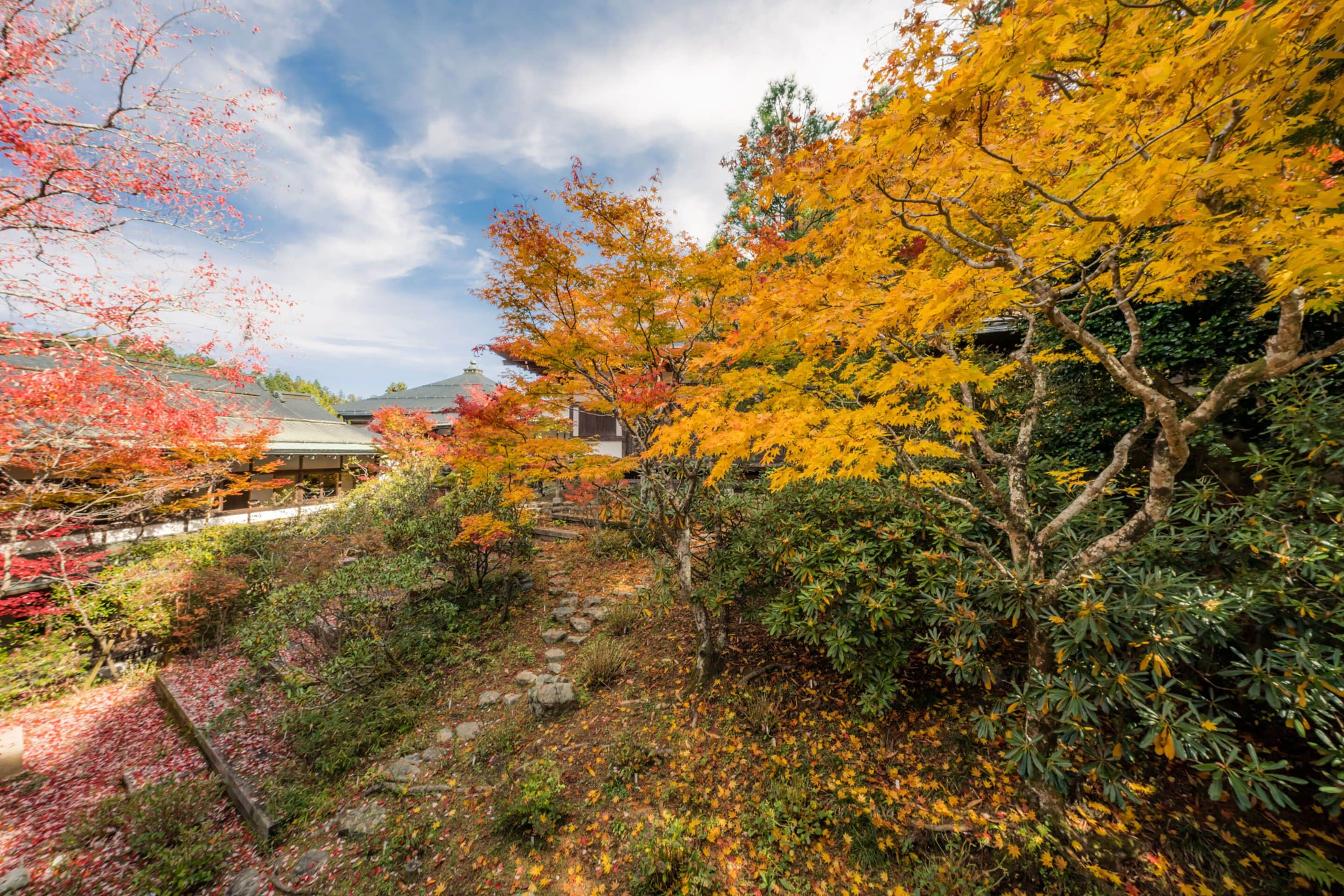 A traditional Japanese garden with a stone pathway, various trees in autumn colors, and a building in the background.