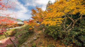 A traditional Japanese garden with a stone pathway, various trees in autumn colors, and a building in the background.