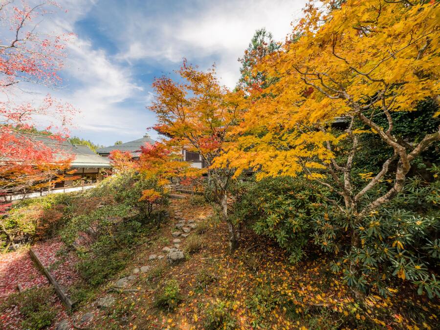 A traditional Japanese garden with a stone pathway, various trees in autumn colors, and a building in the background.