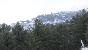 Un paisaje nevado con densos pinos y una vista distante de edificios en una colina.