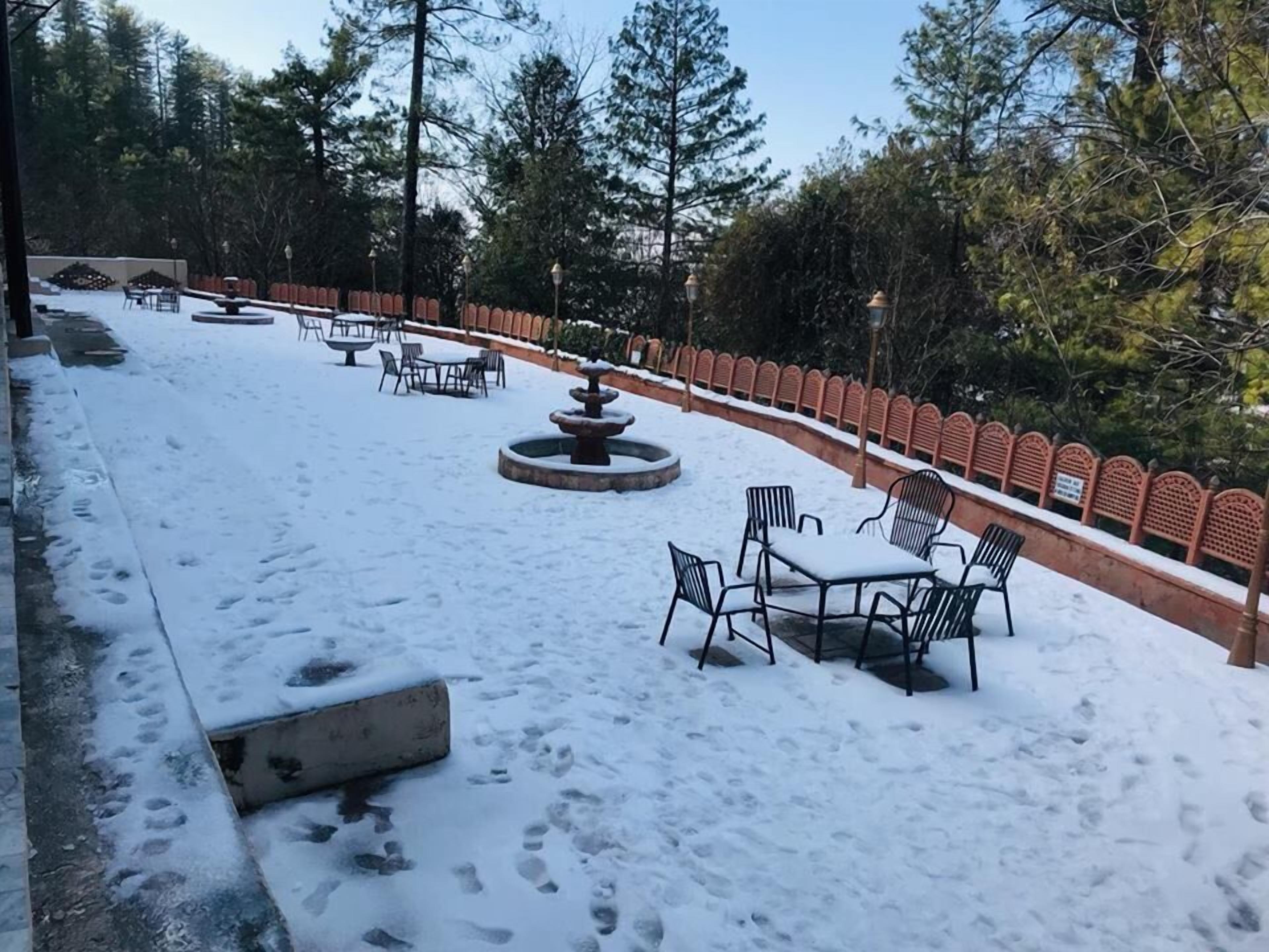 Family Suite | View from room