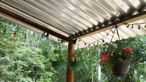Un espacio al aire libre cubierto con plantas colgantes y luces de cadena.