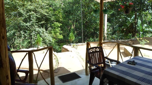 Un patio al aire libre con sillas y mesas de madera, rodeado de abundante vegetación y plantas colgantes.