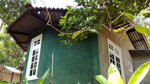 Una casa con fachada verde y ventanas blancas, rodeada de abundante vegetación.