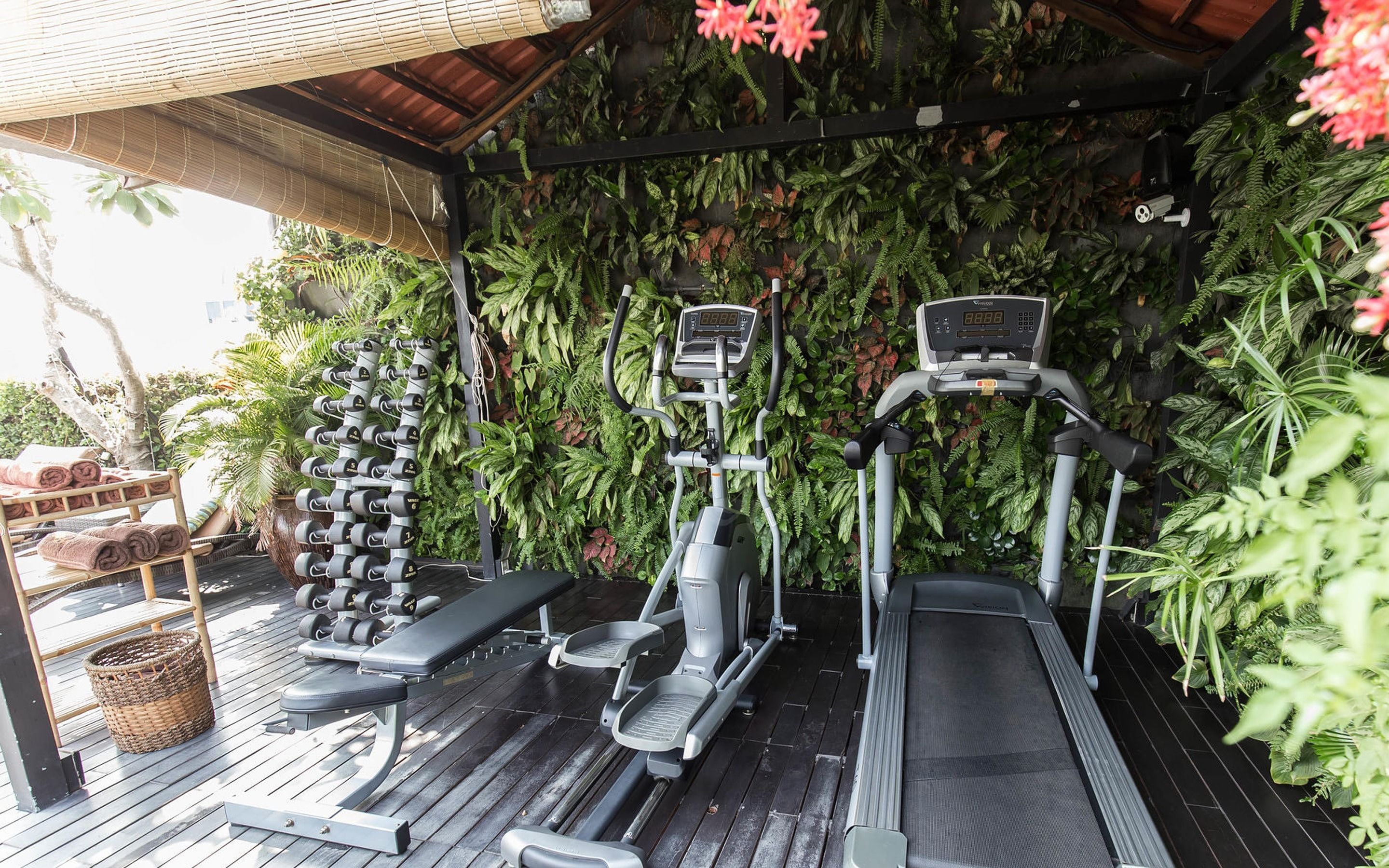Gimnasio