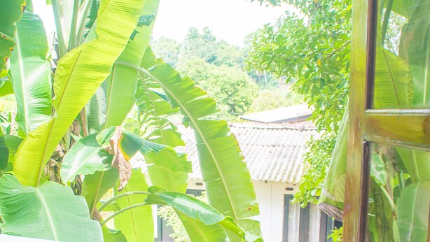 A room with a view of lush banana plants and a traditional house in the background. - Hotel Gem Land (Ratnapura)