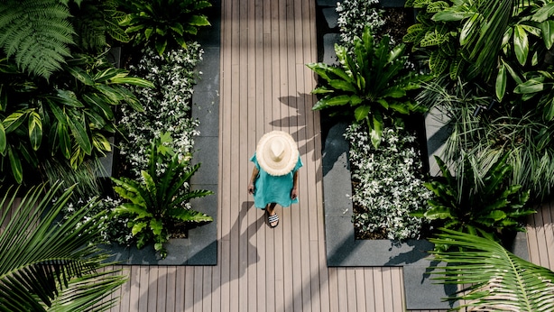 A top-down view of a wooden deck with a person in a blue dress and a straw hat walking. - Veriu Camperdown (Camperdown)