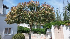 A tree with green and reddish leaves in front of a white building with a window and a door. - Corfu Anastasia (Corfu)