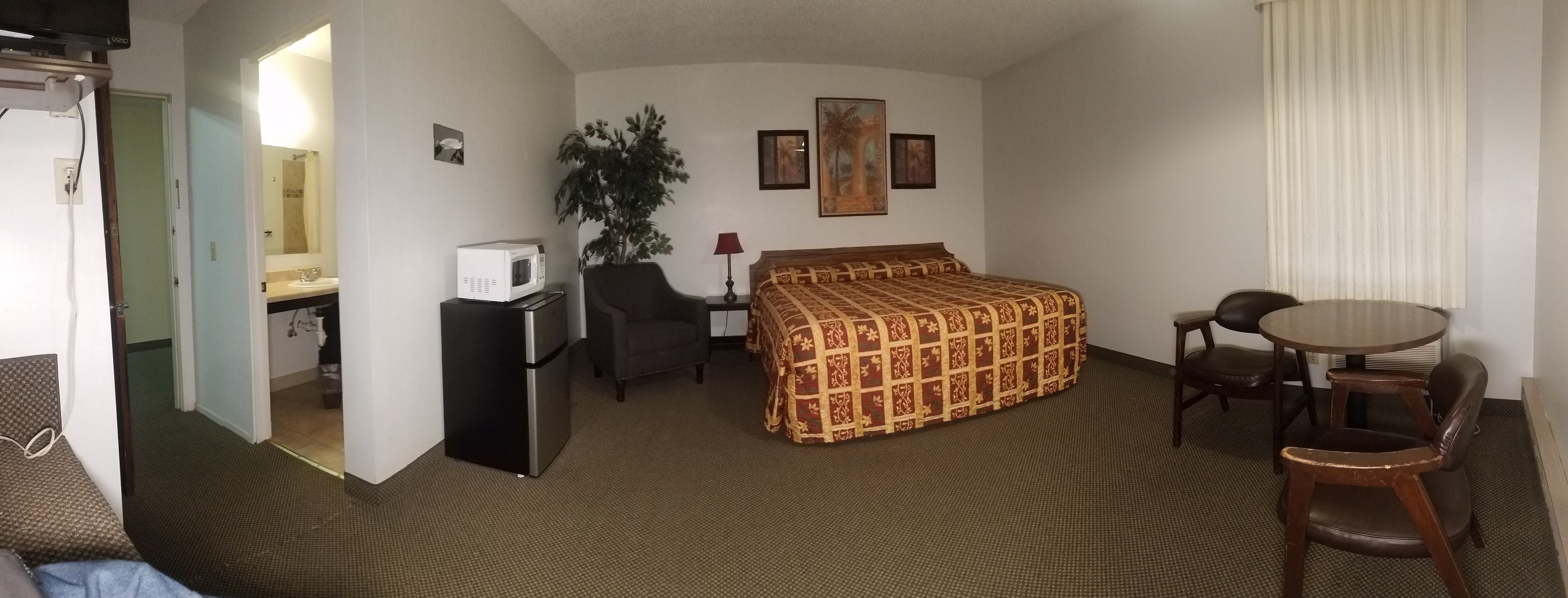 Habitación de hotel con cama, escritorio con microondas, una silla, una mesita y una planta.