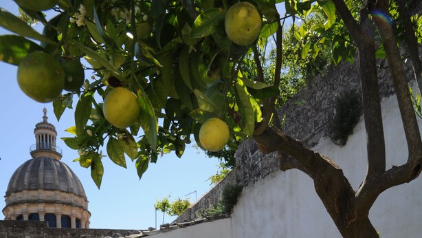 A swimming pool with a unique design, a tree with green leaves, and a white wall with a dome-shaped structure in the background. - Iblainsuite (Ragusa)