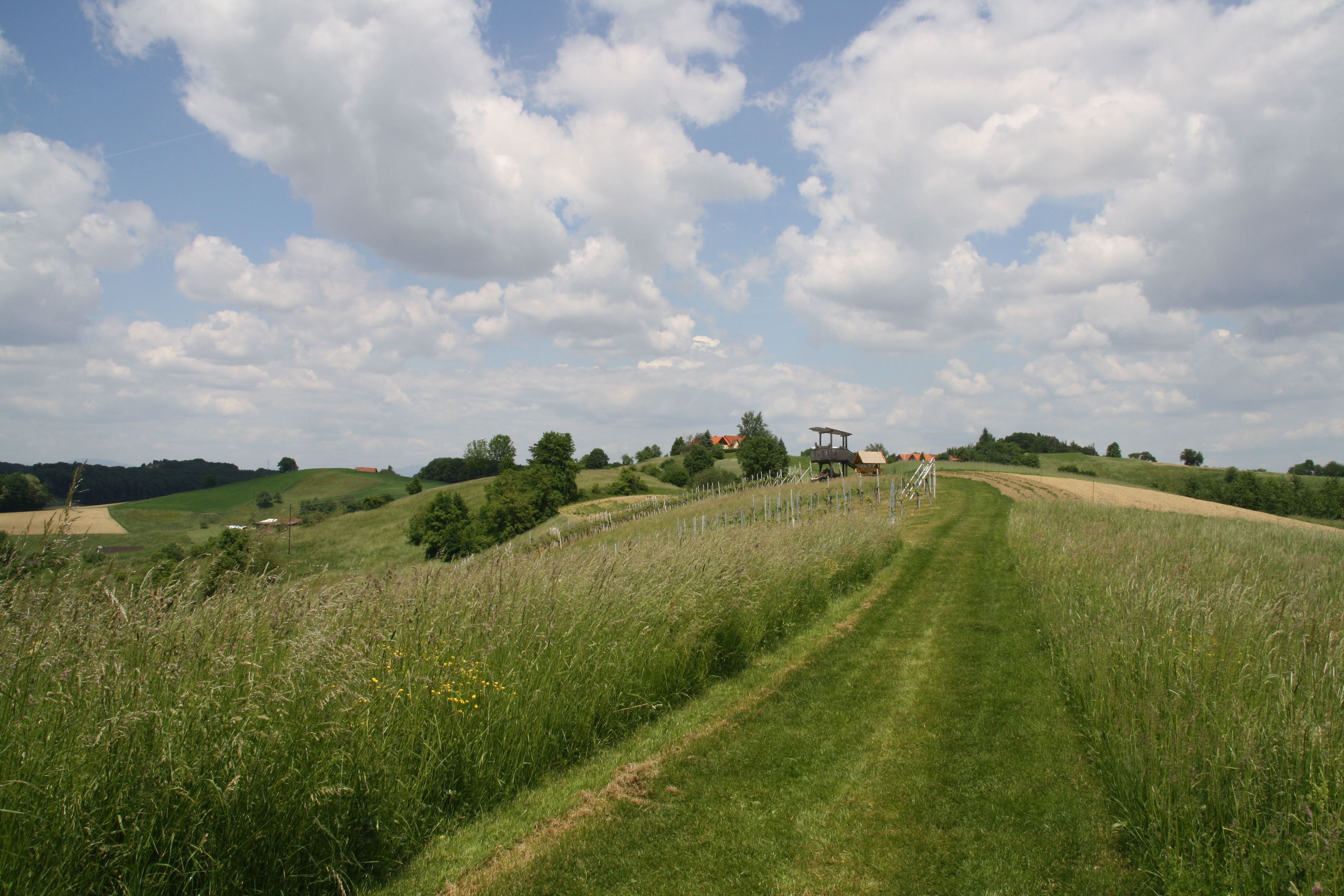 Wandern