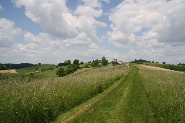 Hiking - Weingarten-Resort Unterlamm Loipersdorf (Unterlamm)