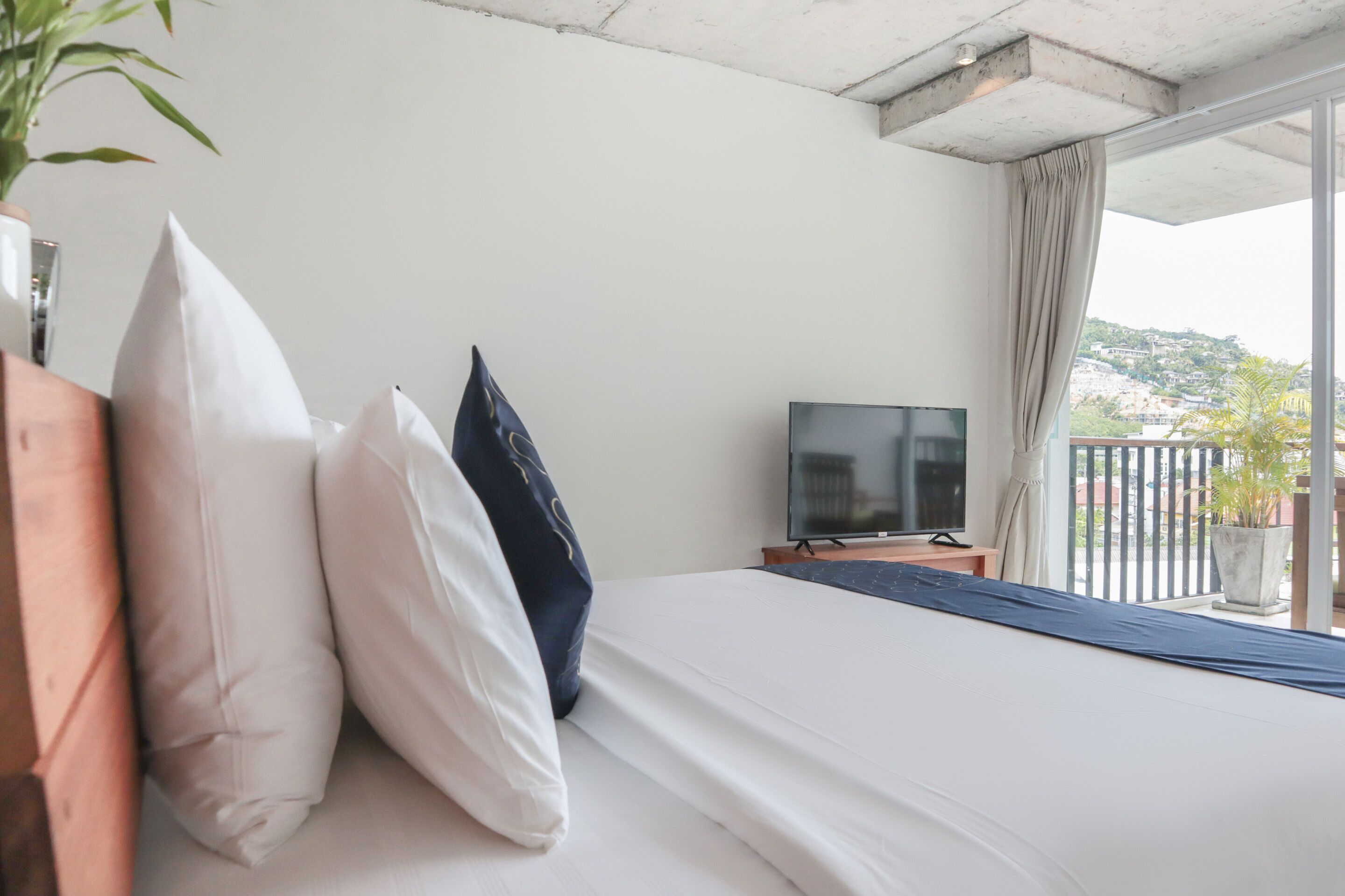 A hotel room with a bed, a TV, a balcony with a view, and a plant.